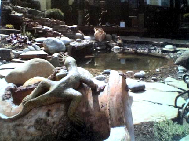 Садовые водоемы: фонтанчики, горки со стеканием.(2006-2010) фото 12-04-07_1145.jpg.jpg