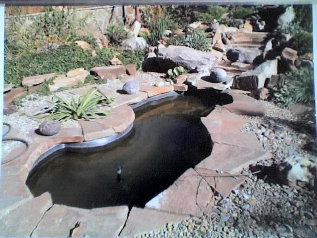 Садовые водоемы: фонтанчики, горки со стеканием.(2006-2010) фото 13-04-07_0956.jpg.jpg